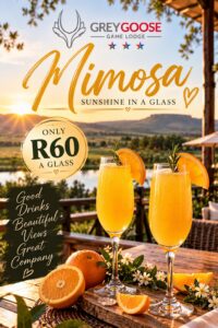Grey Goose Game Lodge - Home