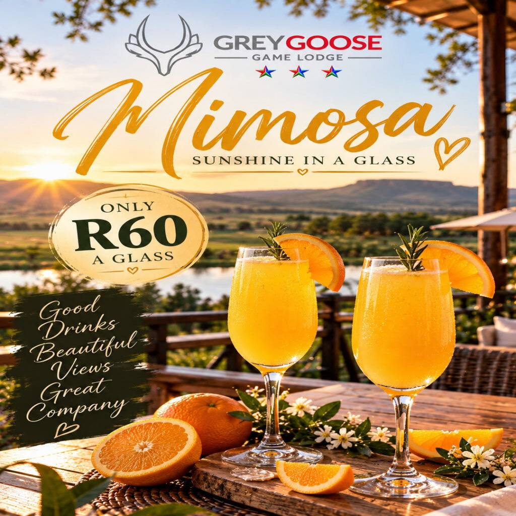 Grey Goose Game Lodge - Home